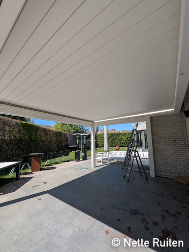 Carport reinigen
